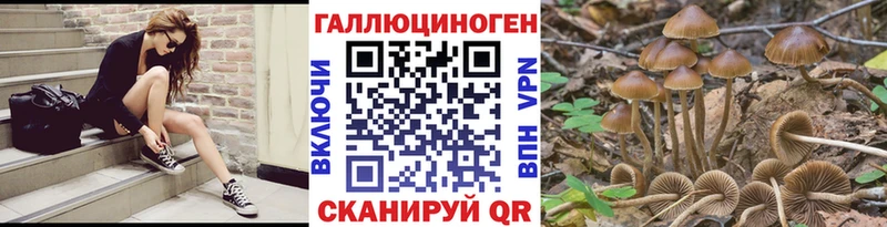 Галлюциногенные грибы MAGIC MUSHROOMS  блэк спрут ССЫЛКА  Долинск 