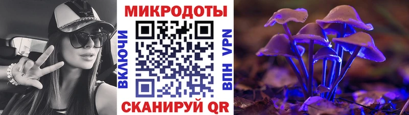 Псилоцибиновые грибы мухоморы Долинск